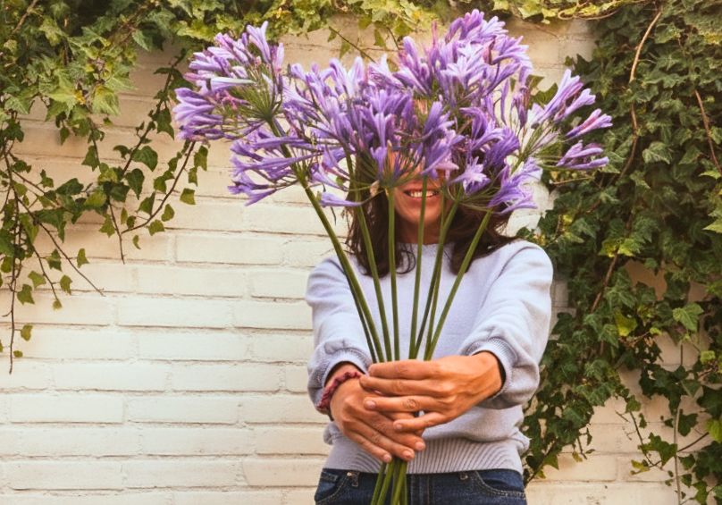 Agapanthus verzorgen – snoeien, overwinteren & planten tips