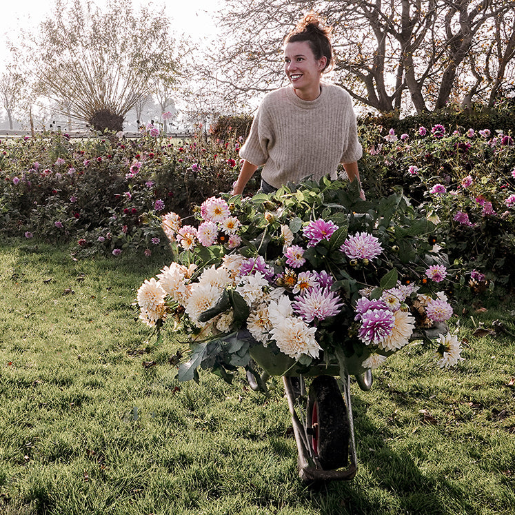 Tuintips: zo help je jouw tuin uit de winterdip!