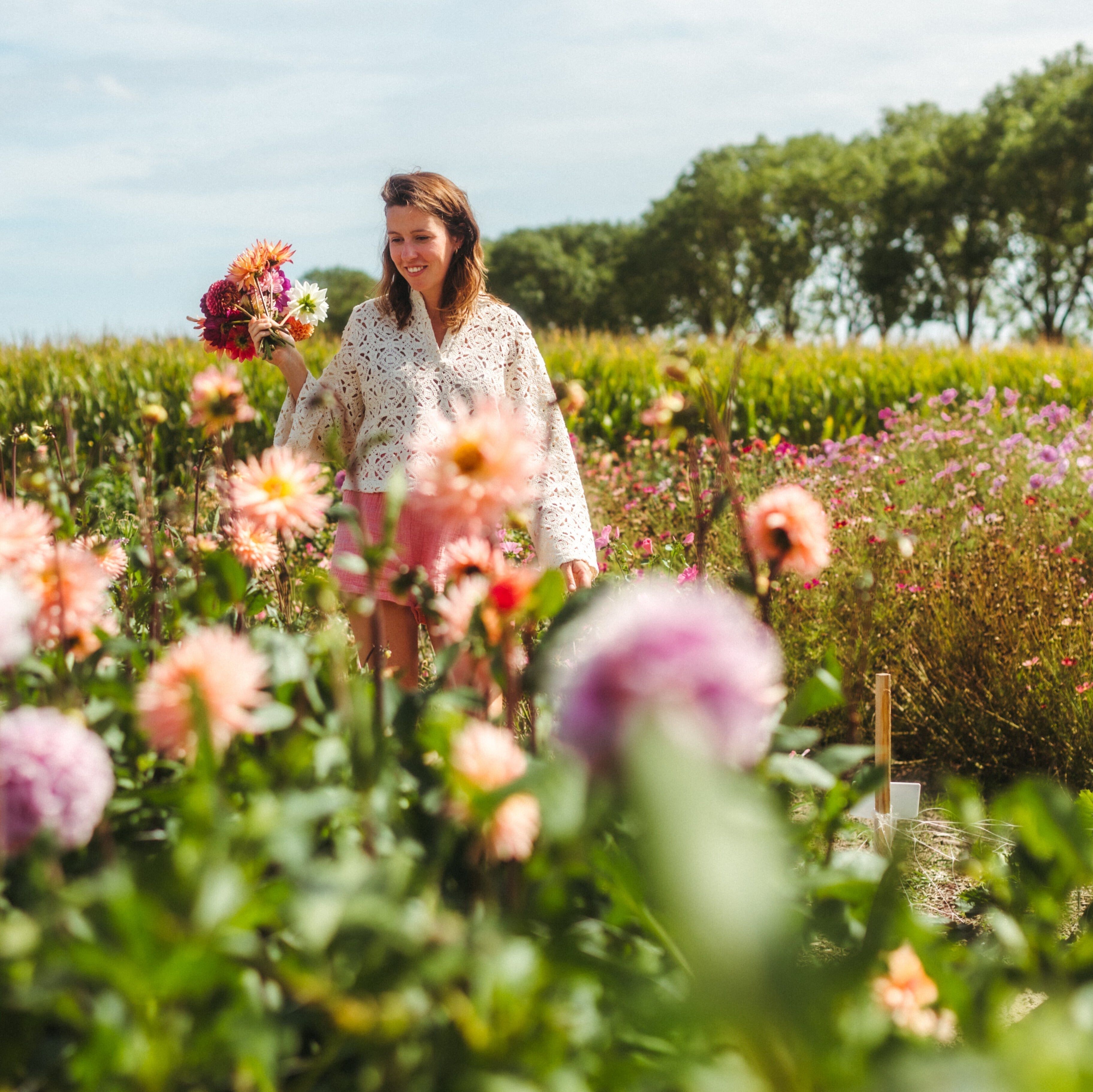 Dahlia overwinteren - zo zorg je dat jouw dahlia volgend jaar weer bloeit