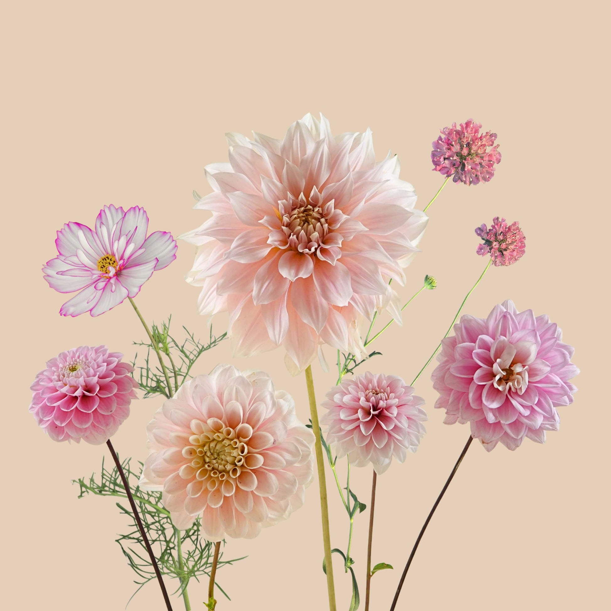 A Fairytale Summer - 1m²