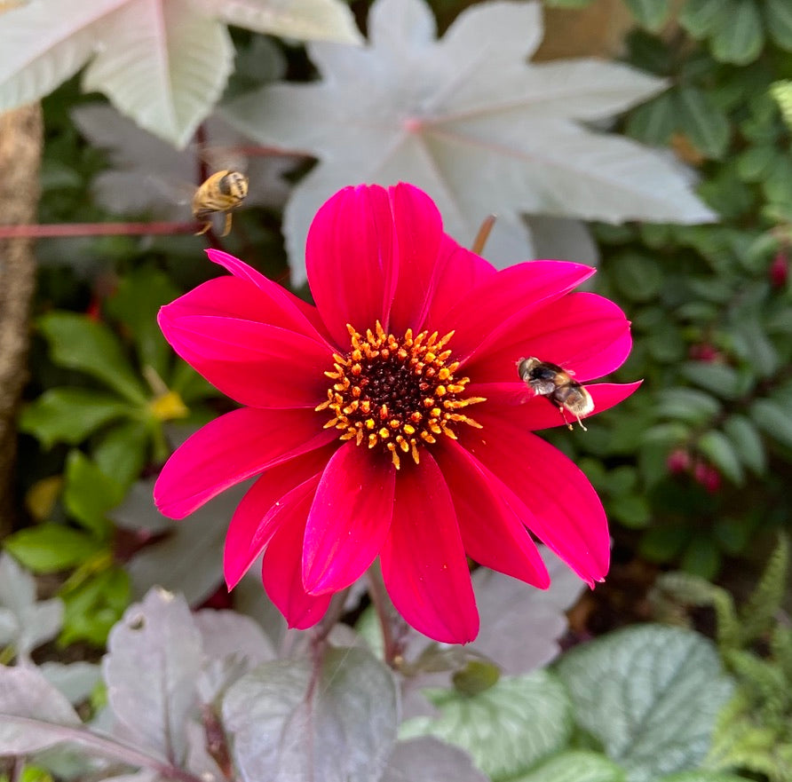 Bishop of Canterbury
